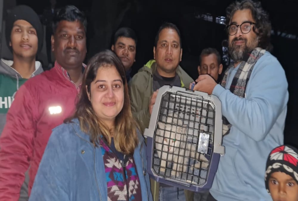 Bangalore Couple Spent More Than Two lakh Rupees for find the Missing cat in nainital