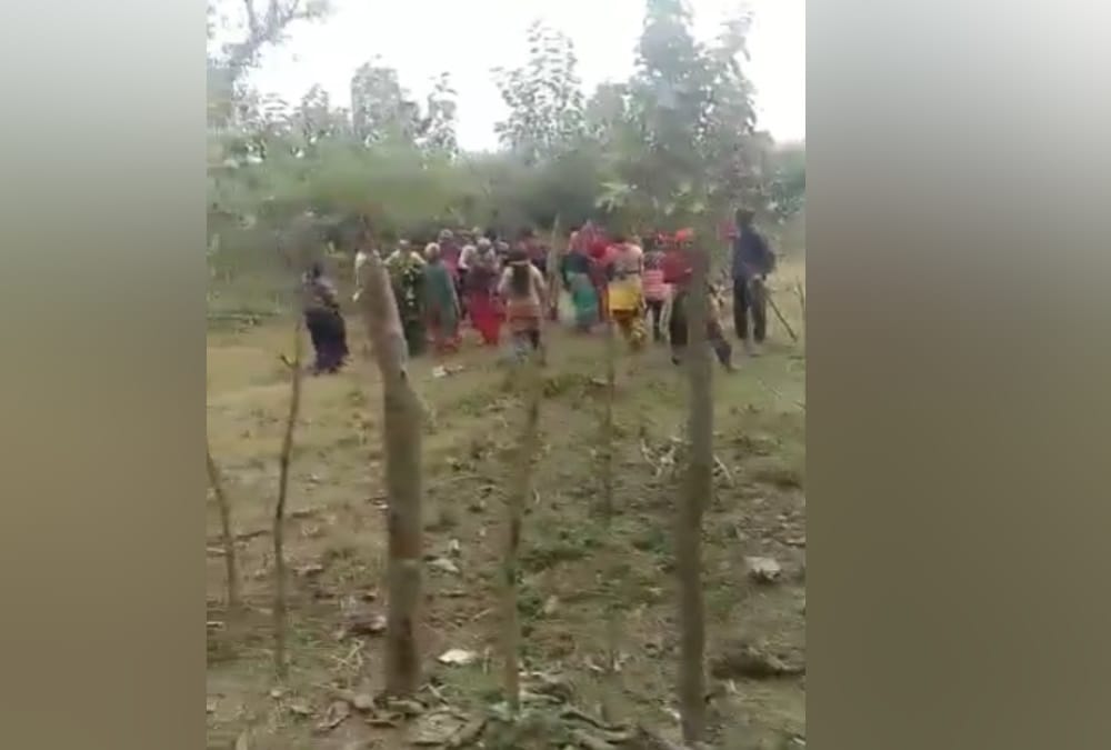 Haldwani News: Tiger attack on two women in forest during cutting grass photos