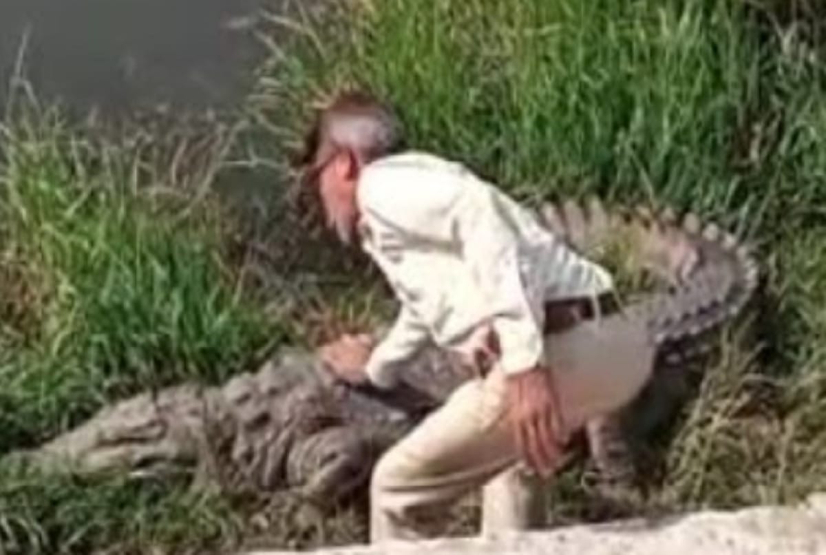 Man bows and speaks to crocodile at river, video goes viral