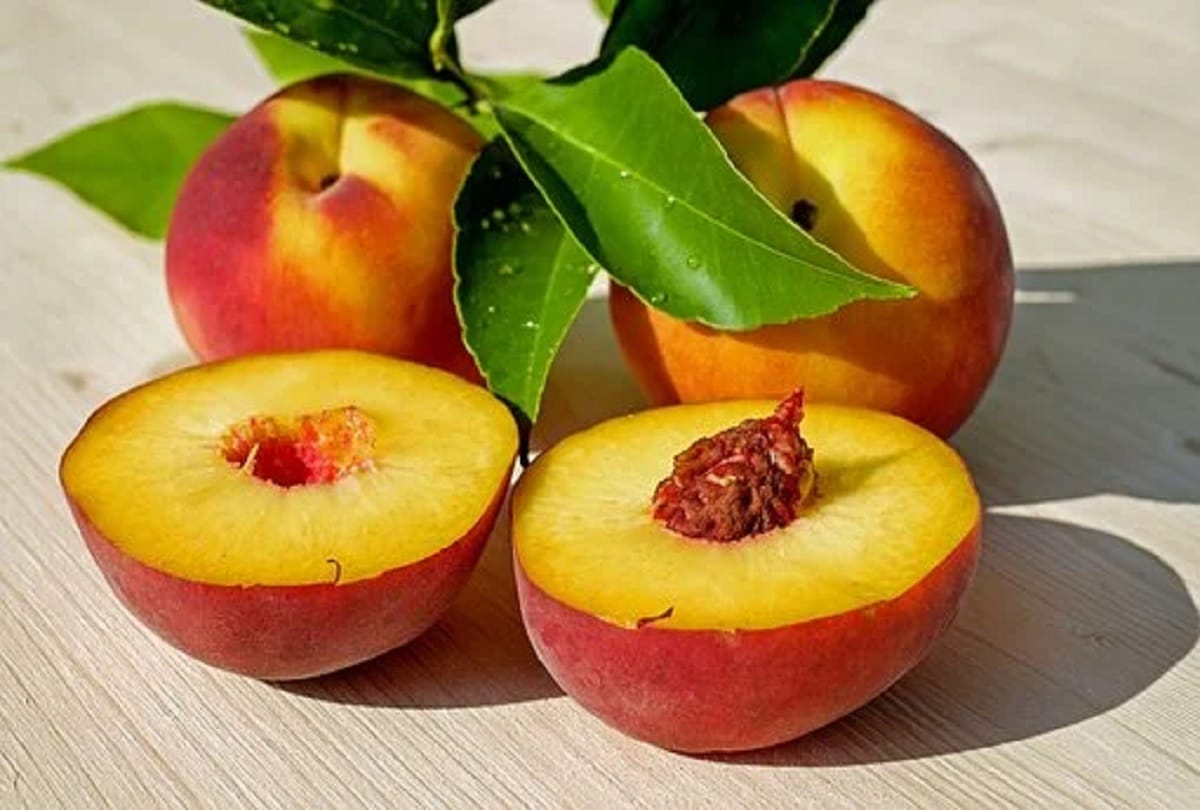 Peaches: Health Benefits and nutrition