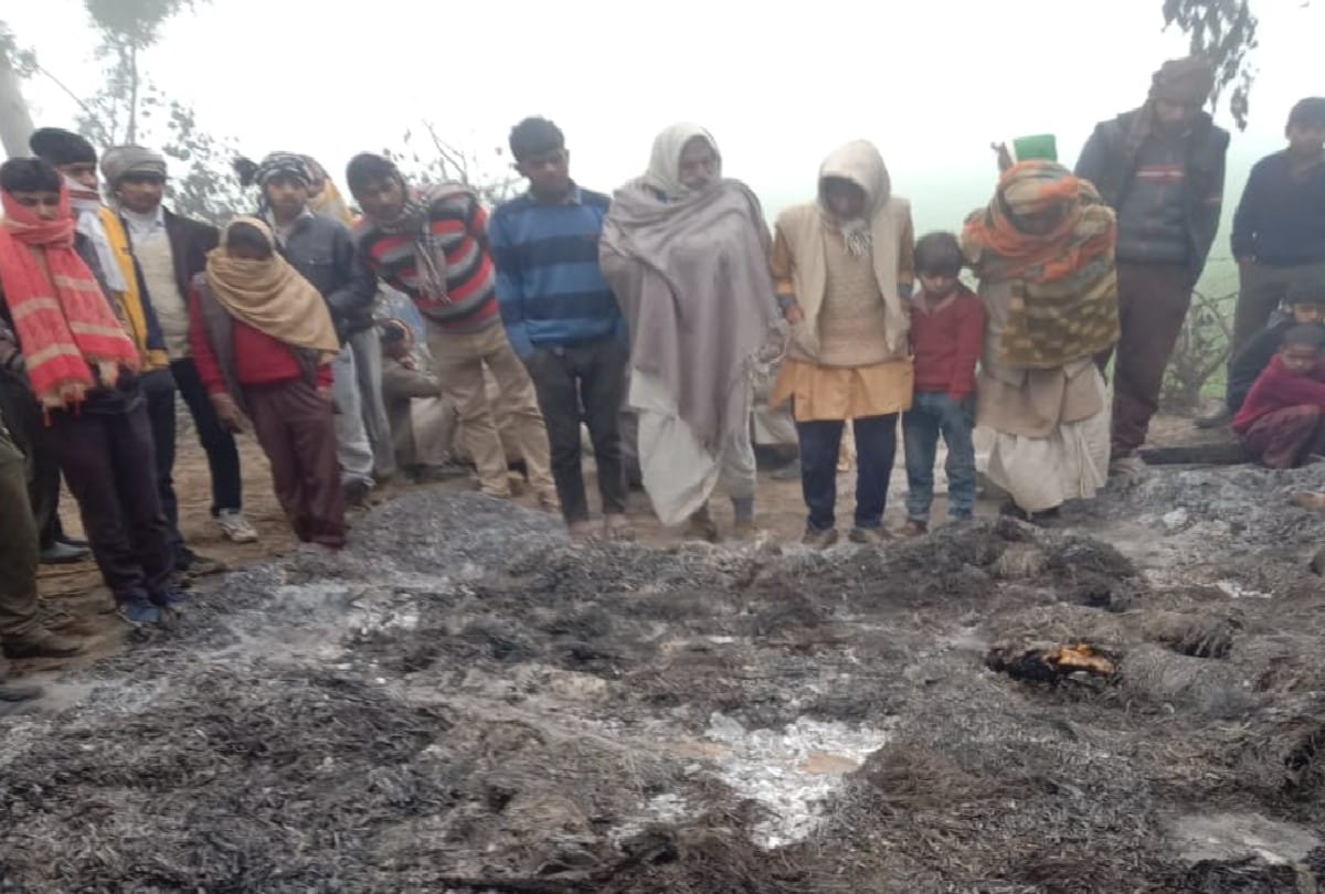 Two People Burnt Alive Due To Fire In A Hut Etah News In Hindi