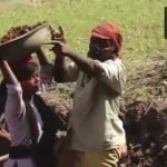 रोजी बेहरा