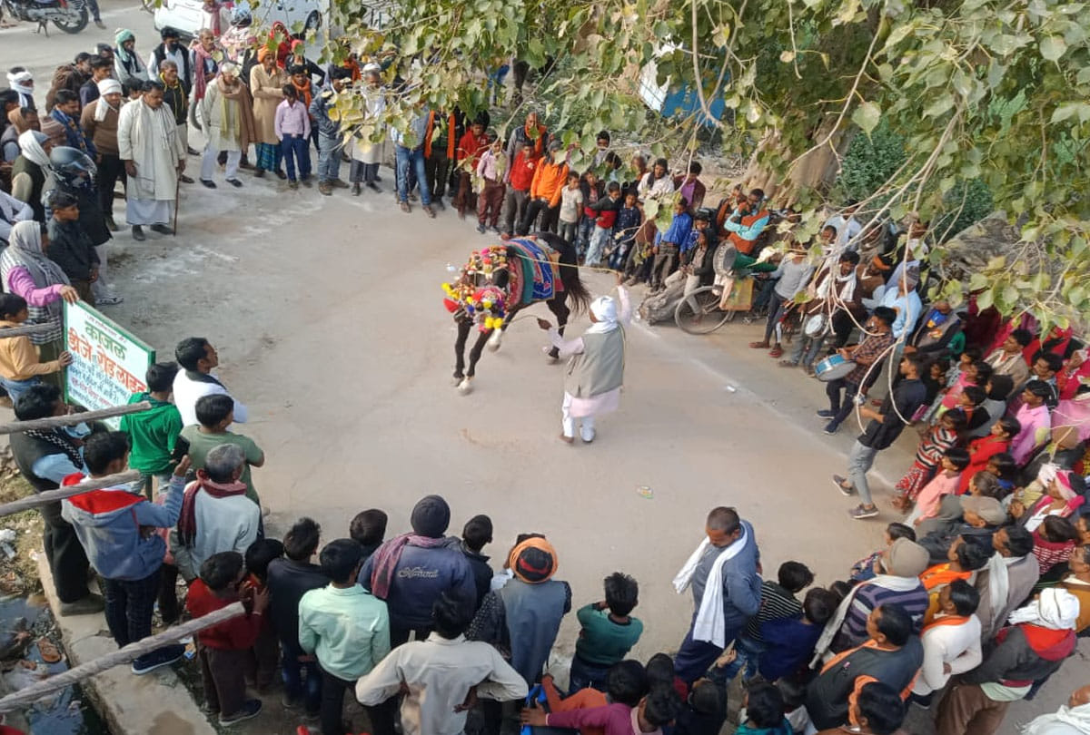 example of Animal love in chitrakoot up