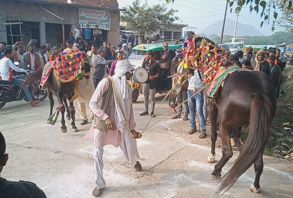 example of Animal love in chitrakoot up