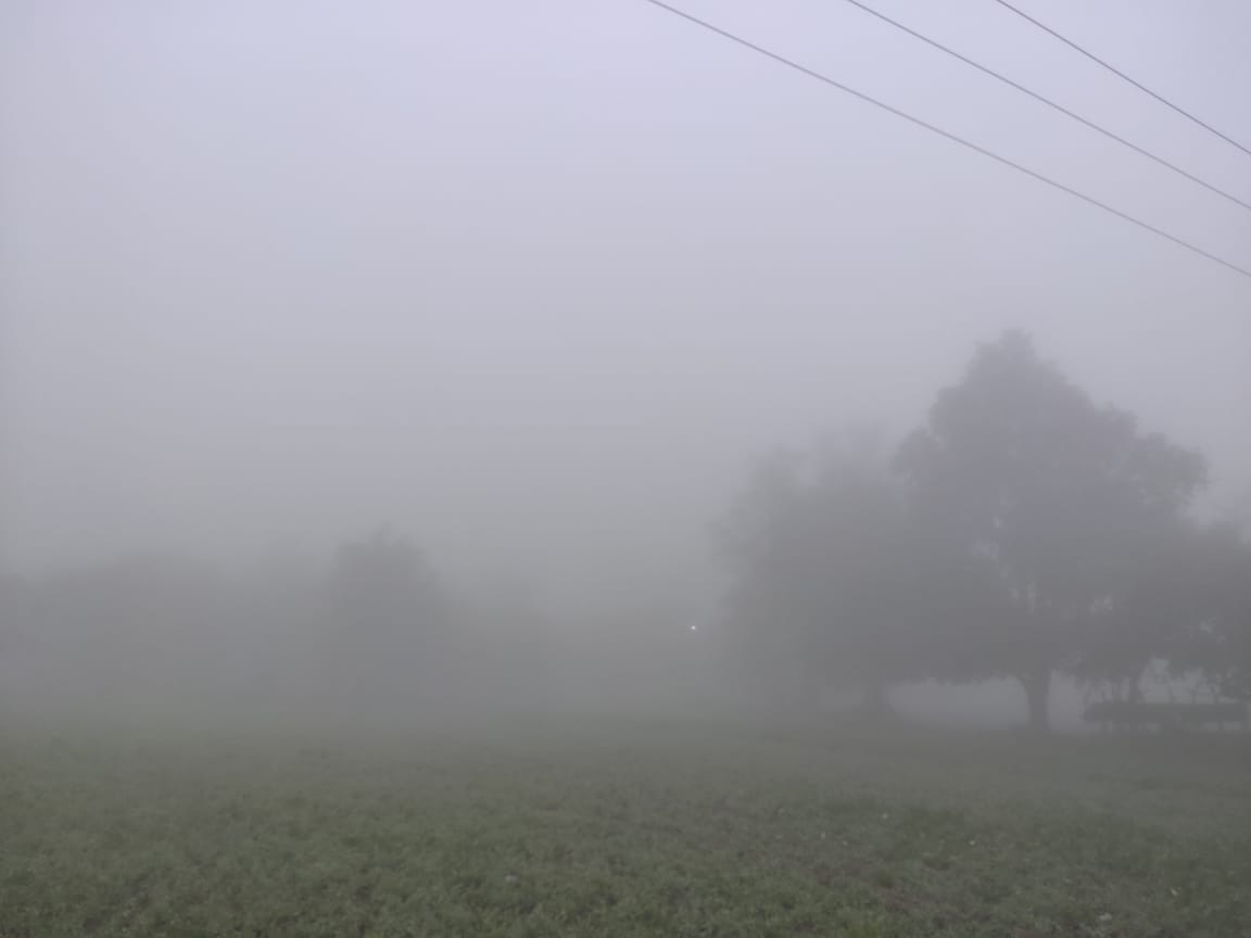 cold wave threat city