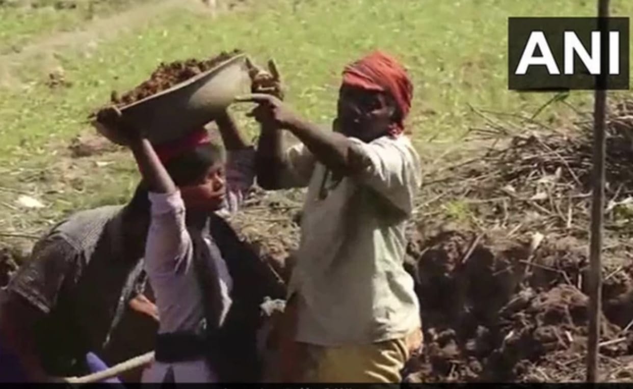 Odisha Engineering Student Turns Daily Wage Labourer To Pay College Dues