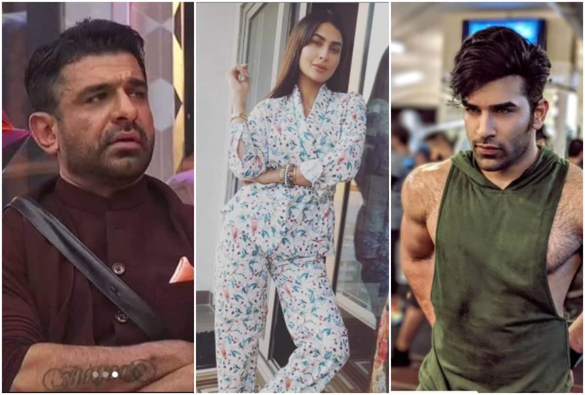 Bigg Boss 14 contestant Eijaz Khan comments on Paras Chhabra and Pavitra Punia