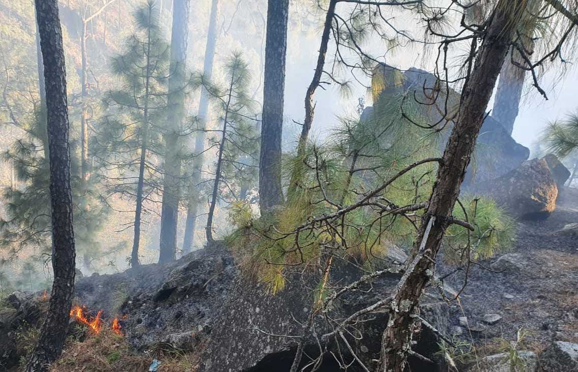 The forest is not safe even in cold, fire in the forest of Jamanpod