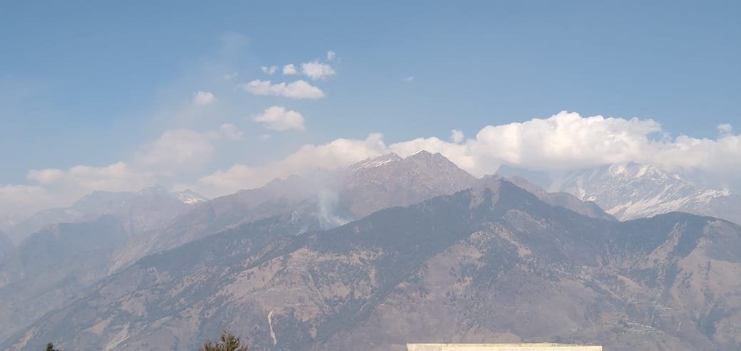 Forest Fire in Munsyari