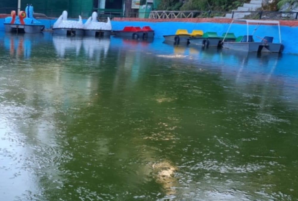 Uttarakhand Weather Forecast Today Update: Mussoorie Lake Freeze Due to Very Low Temperature