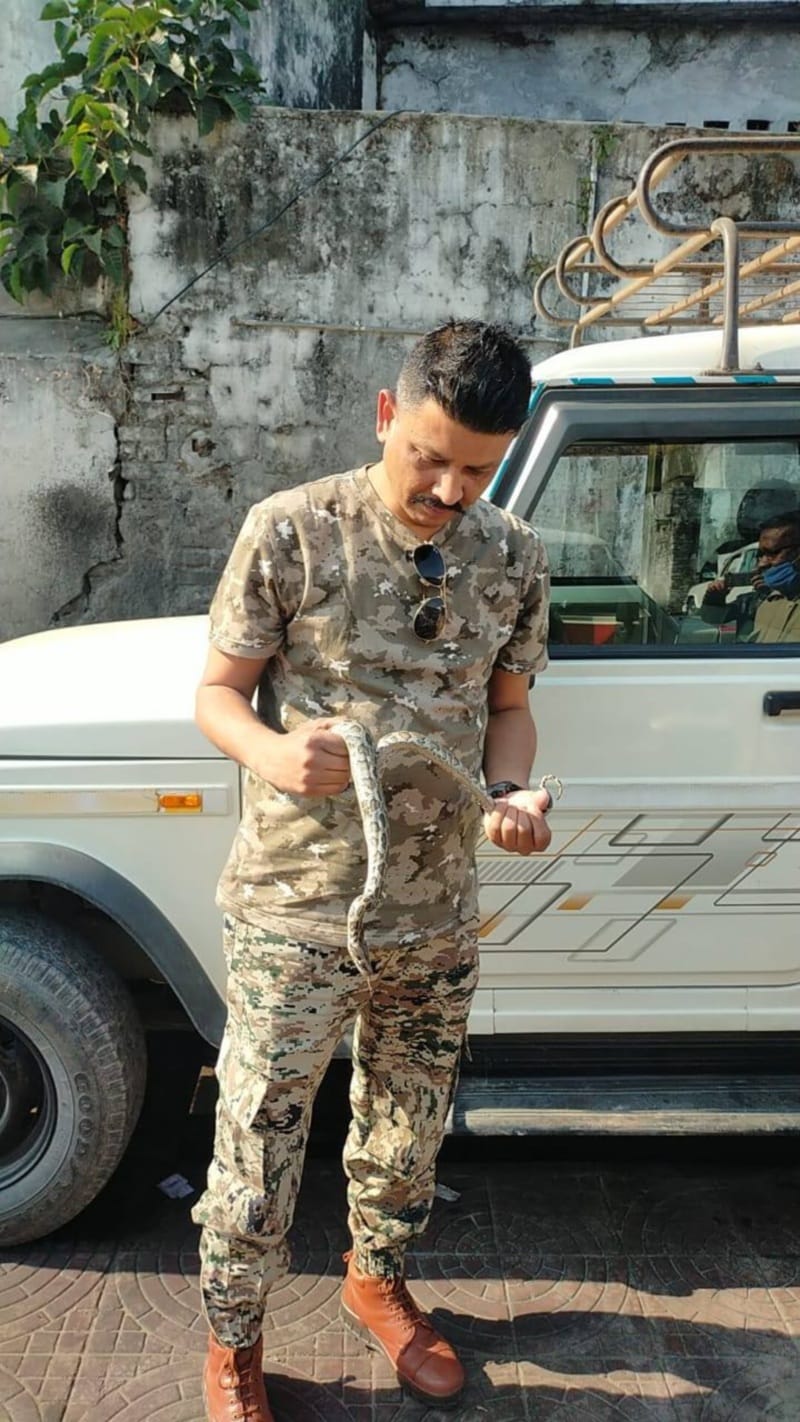 uttarakhand news : python travel in government vehicle from three days photos
