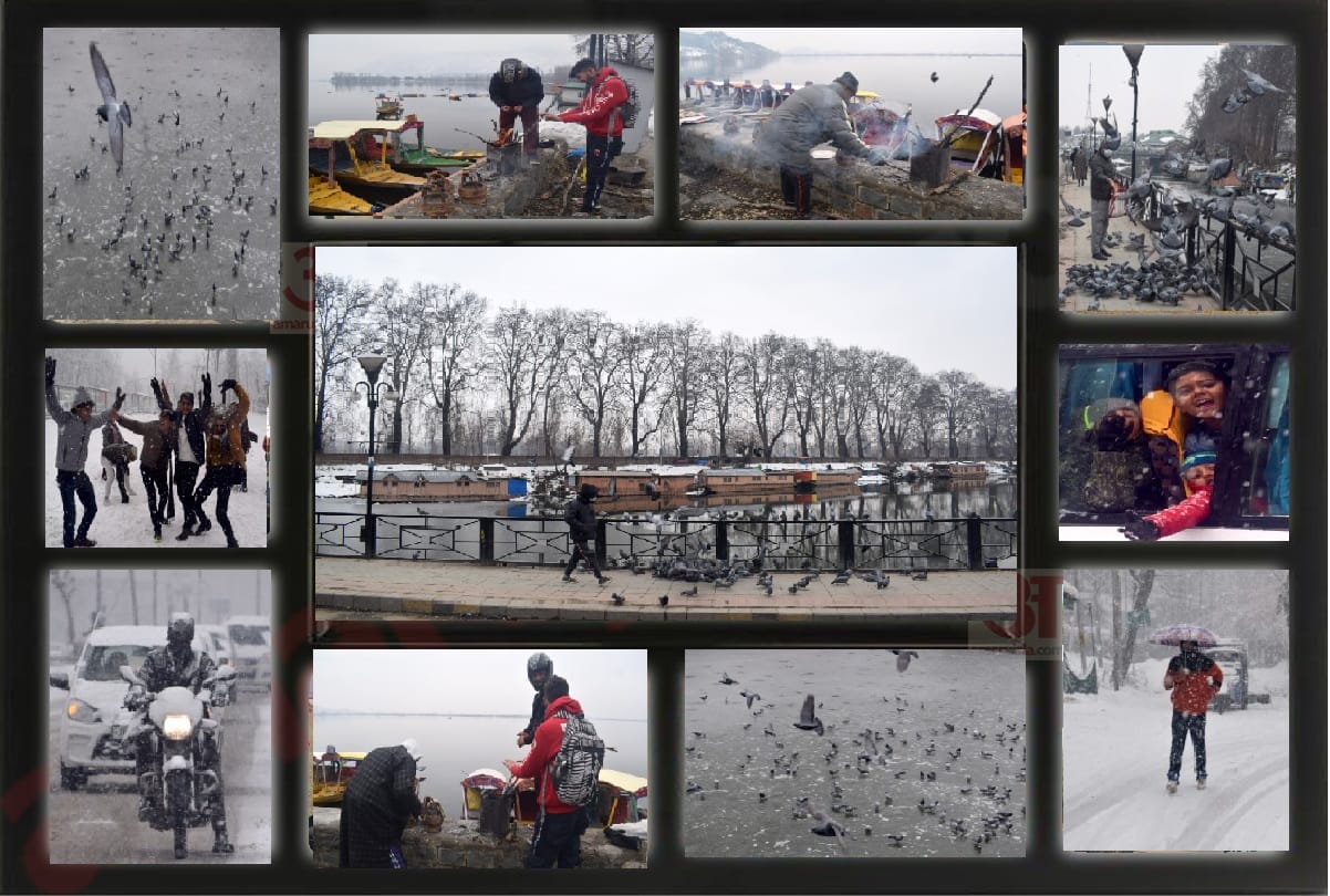 Weather Forecast Today Update in Jammu Kashmir News, snowfall in srinagar