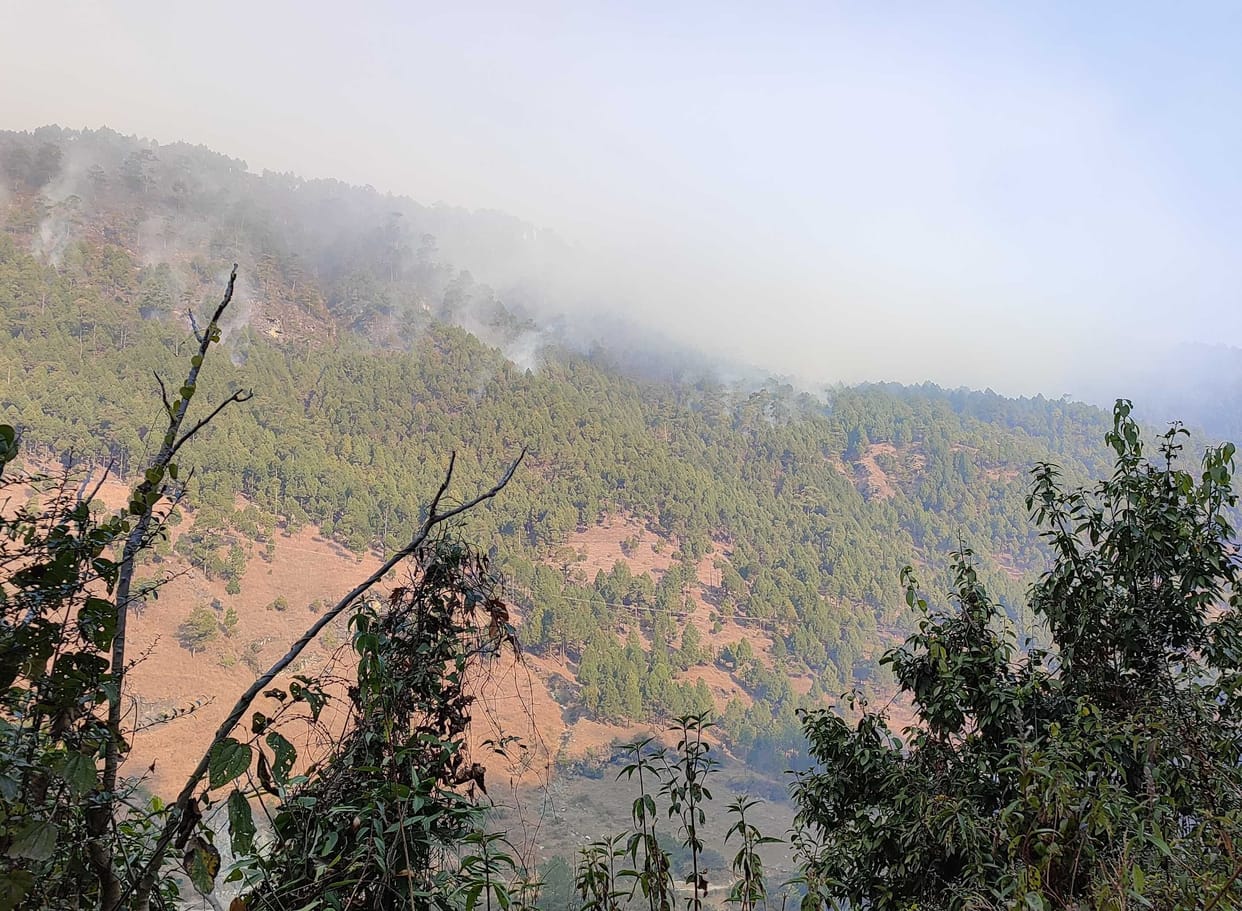 The forest of Chirpatkot has been burning for three days