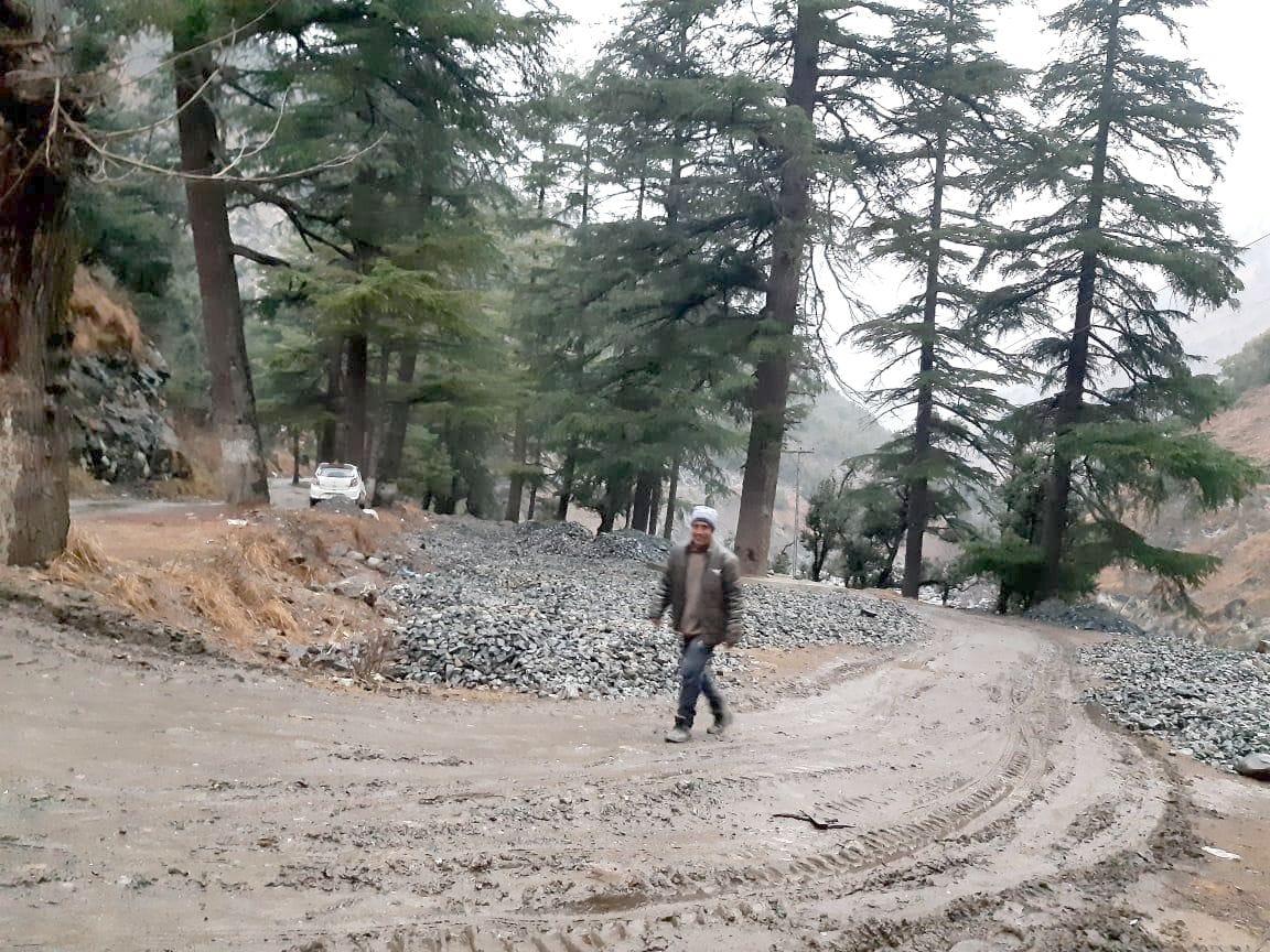Instead of beautification, the deodar surrounded forest is deformed
