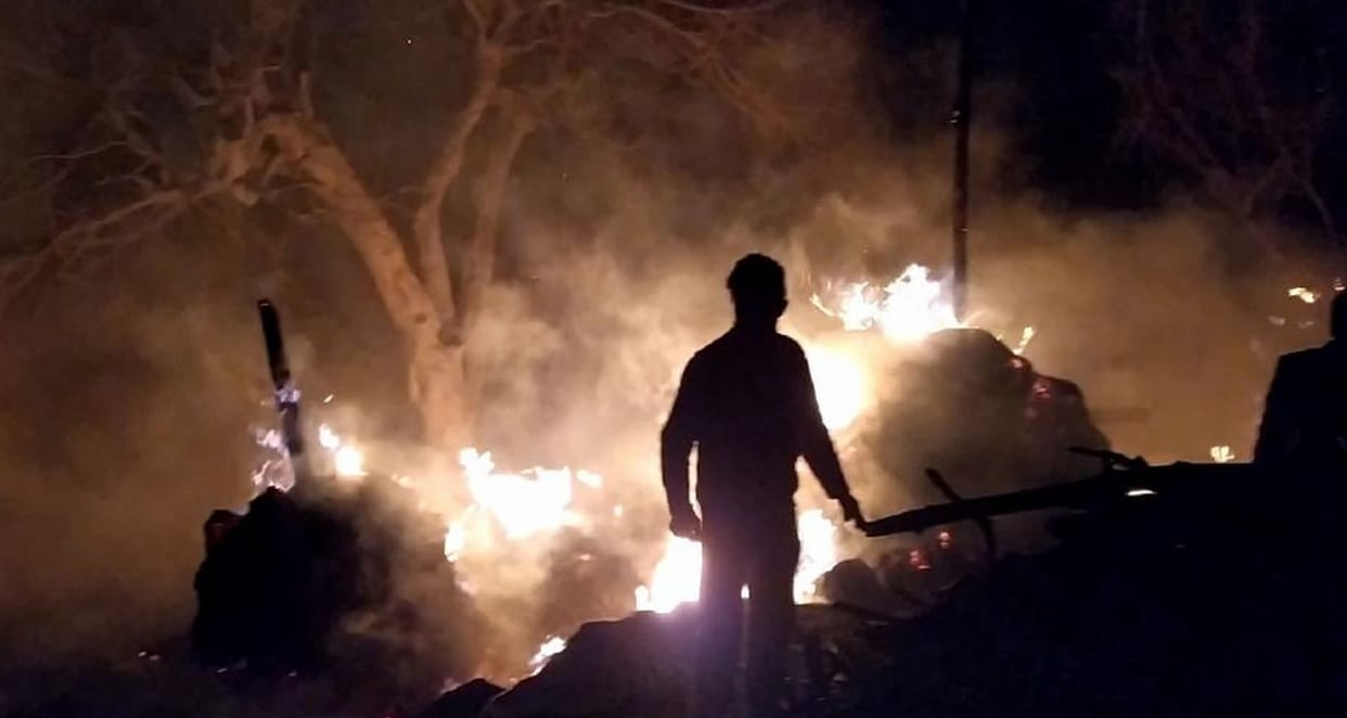 heaps of grass burned with forest fire