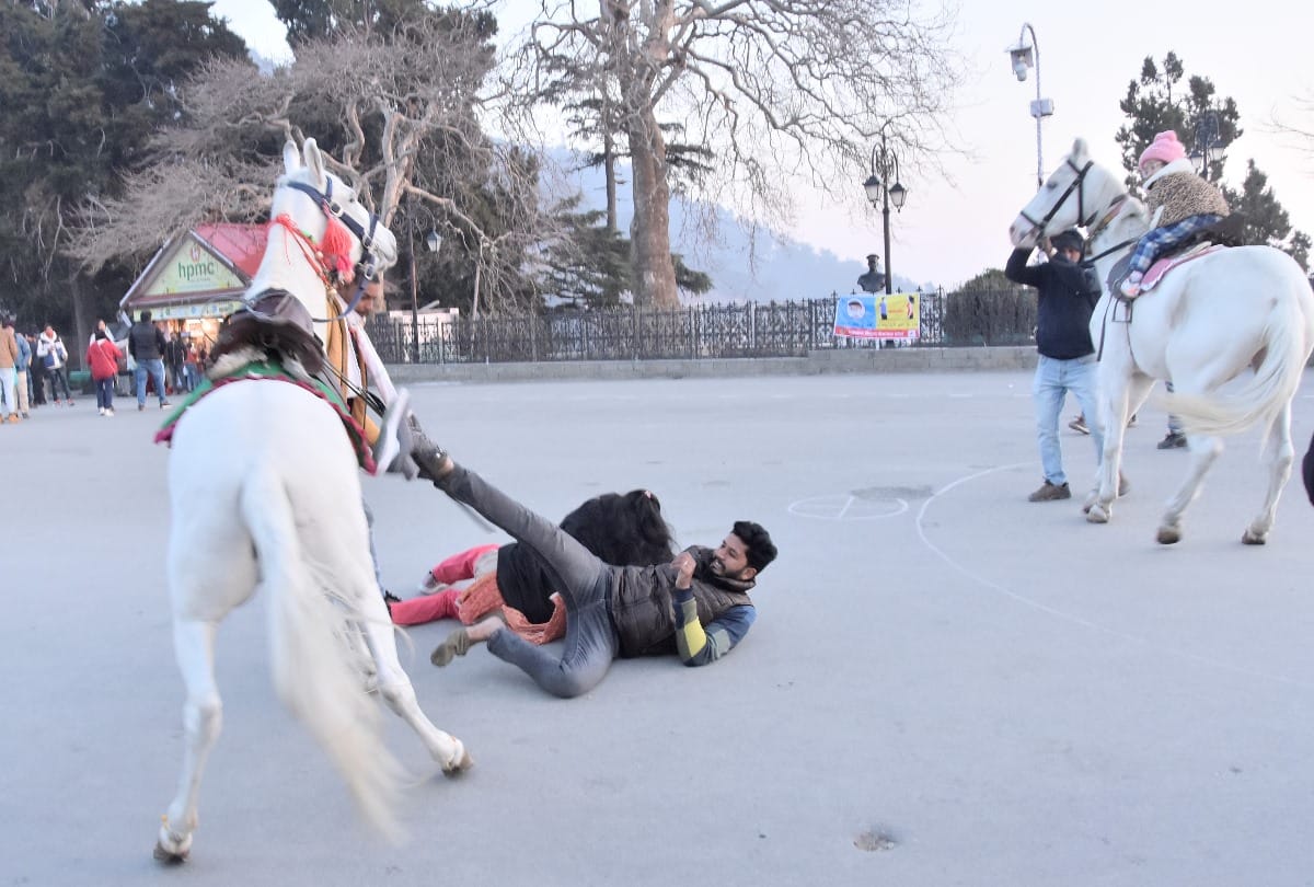 Shimla Himachal News:Tourist couple fell down while horse riding at shimla ridge maidan