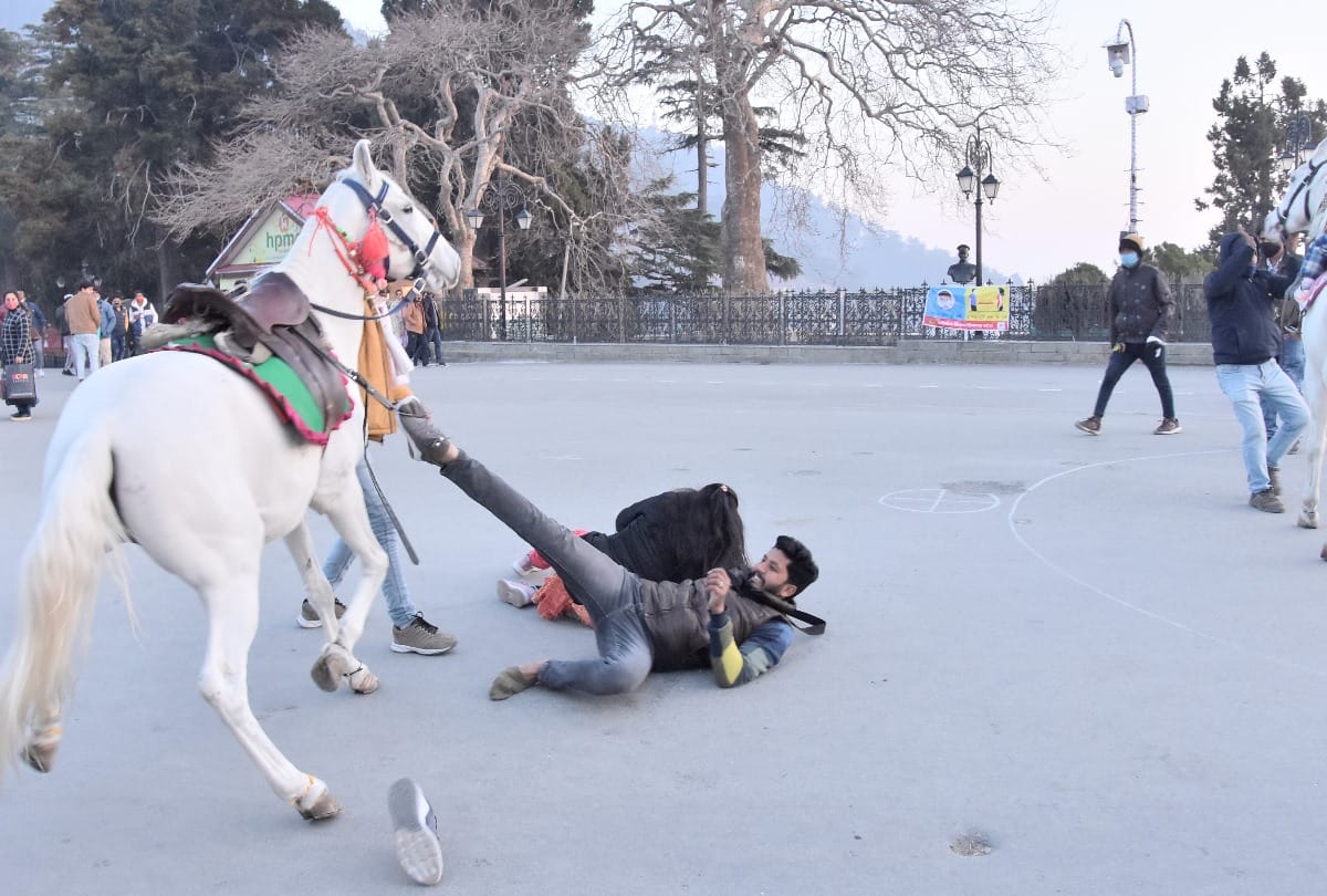 Shimla Himachal News:Tourist couple fell down while horse riding at shimla ridge maidan
