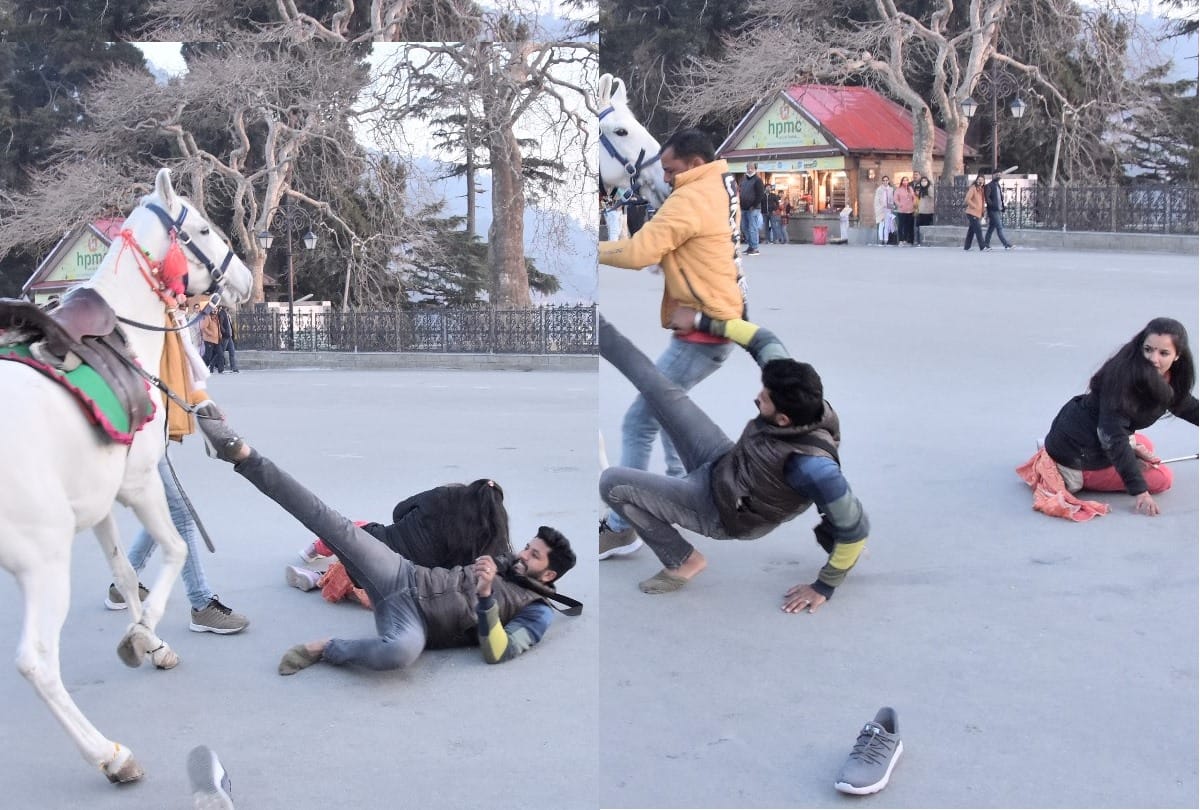 Shimla Himachal News:Tourist couple fell down while horse riding at shimla ridge maidan