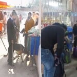 हरकी पैड़ी पर जांच करती पुलिस