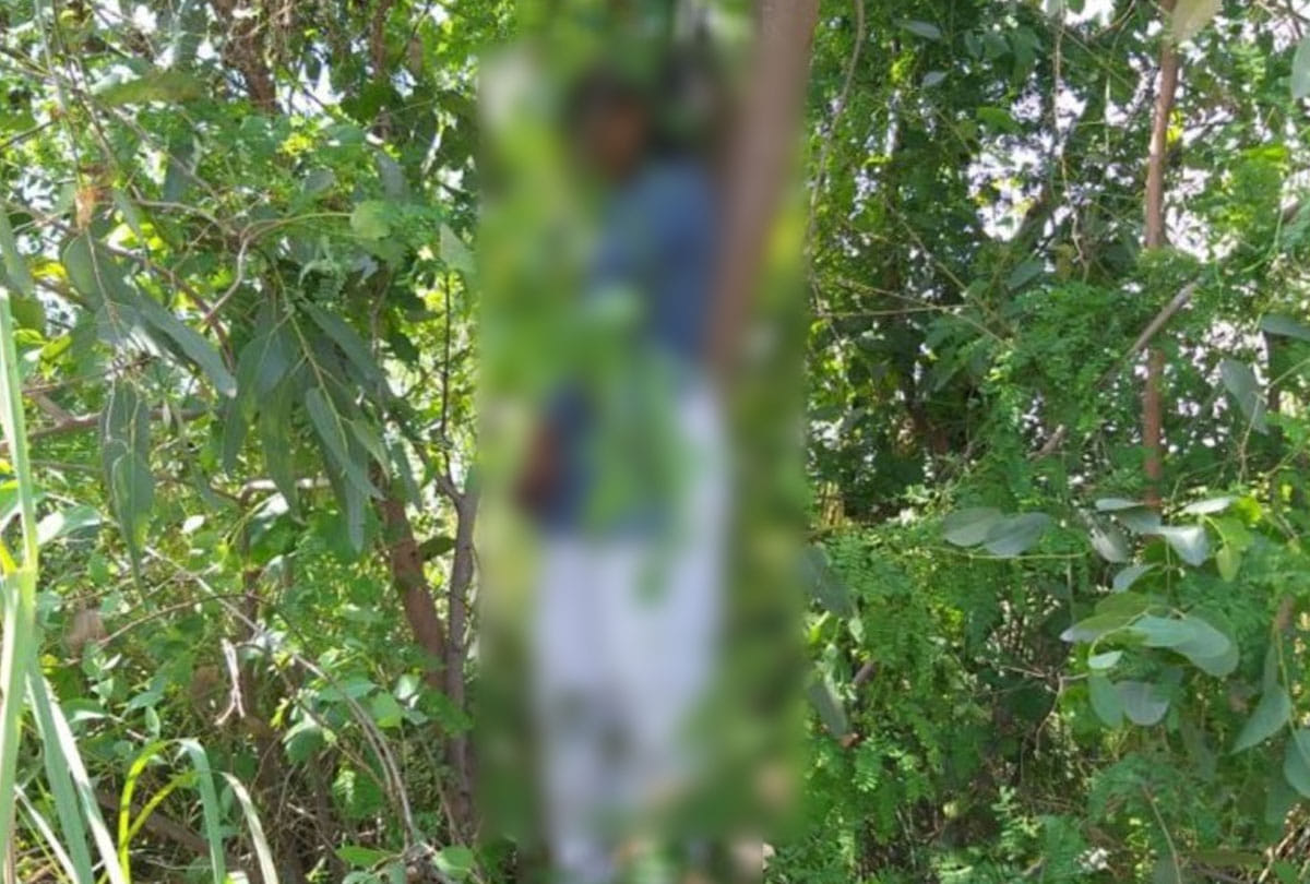 Dead body of youth found hanging from tree in kanpur dehat