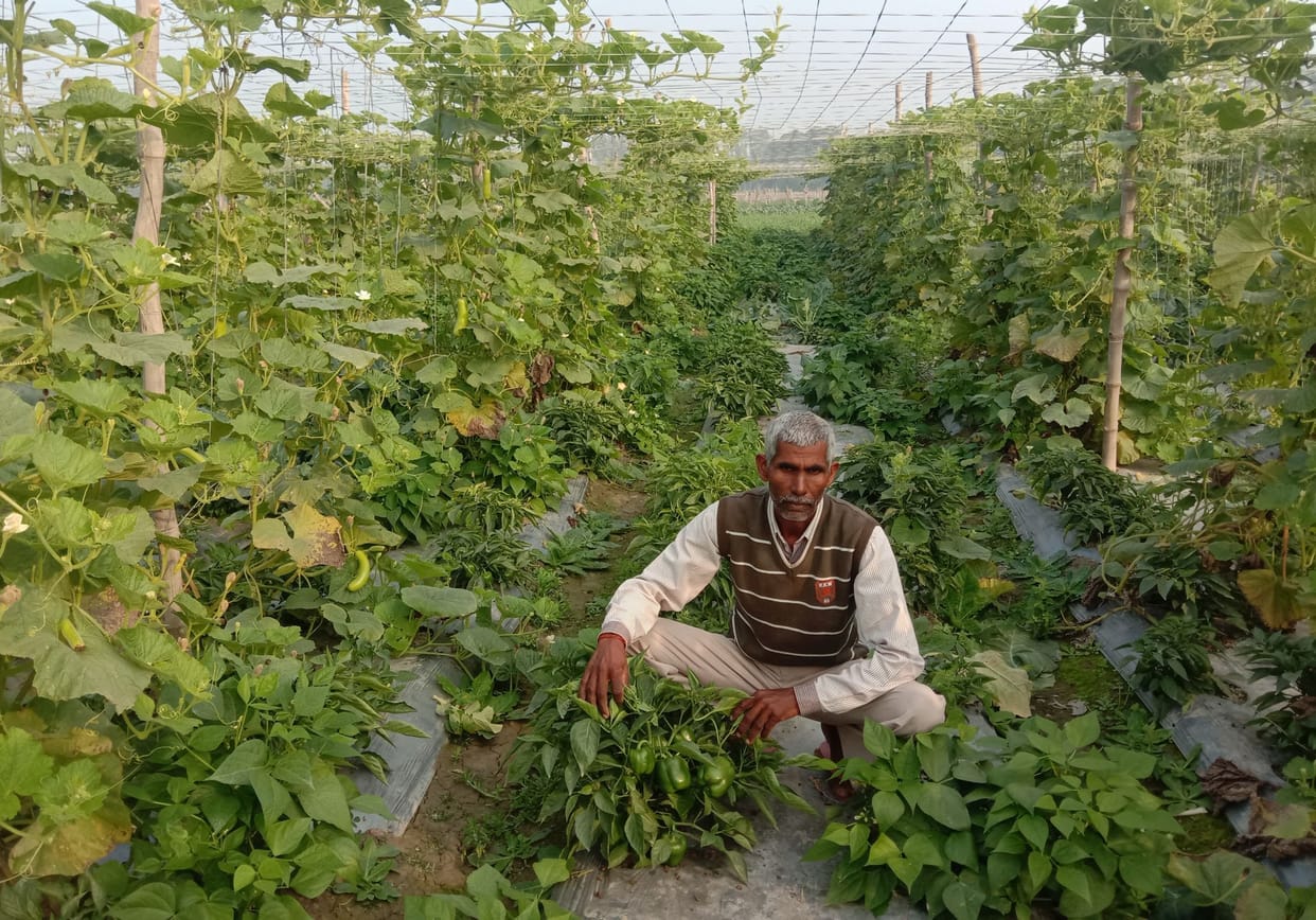 kisan