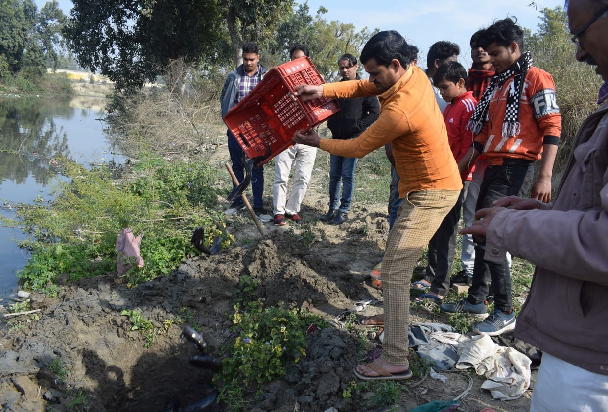 fish caught in Mainpuri