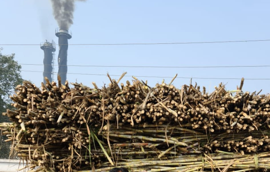 The whole sugarcane is spent, now the goal of consuming sugarcane is