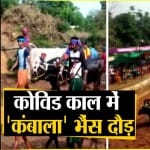 कंबाला