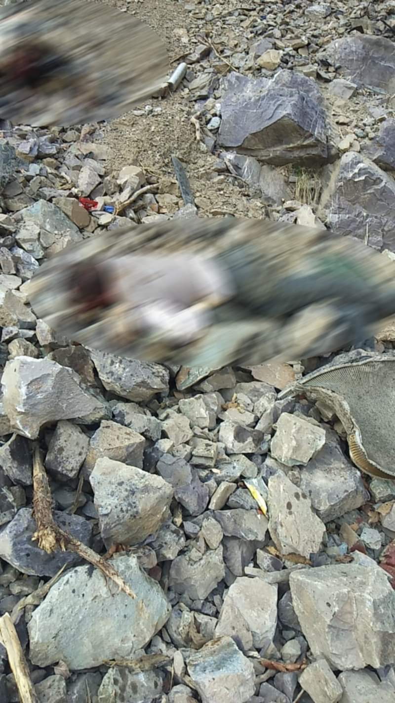 uttarakhand news: car accident in badrinath highway, five person died photos