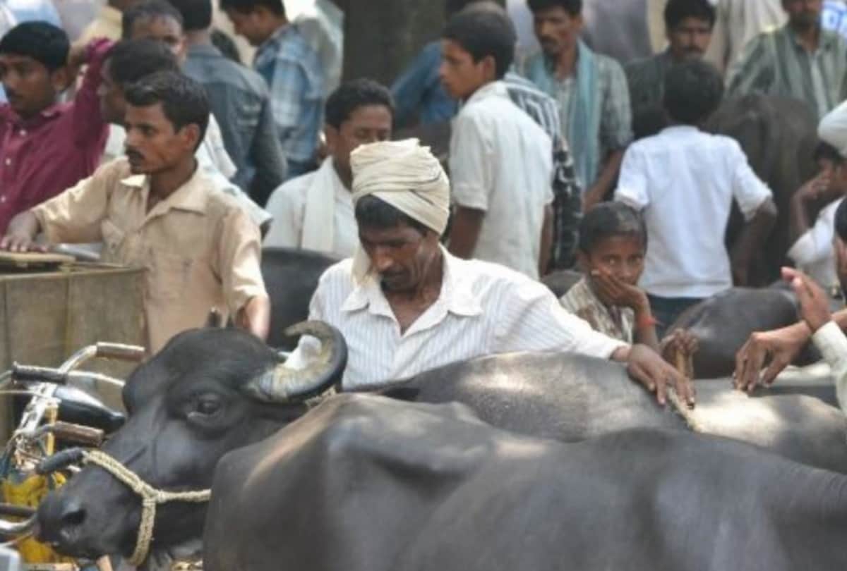 heinous Crime Story of Triple Murder In Jaitpur Animal Market Gorakhpur history