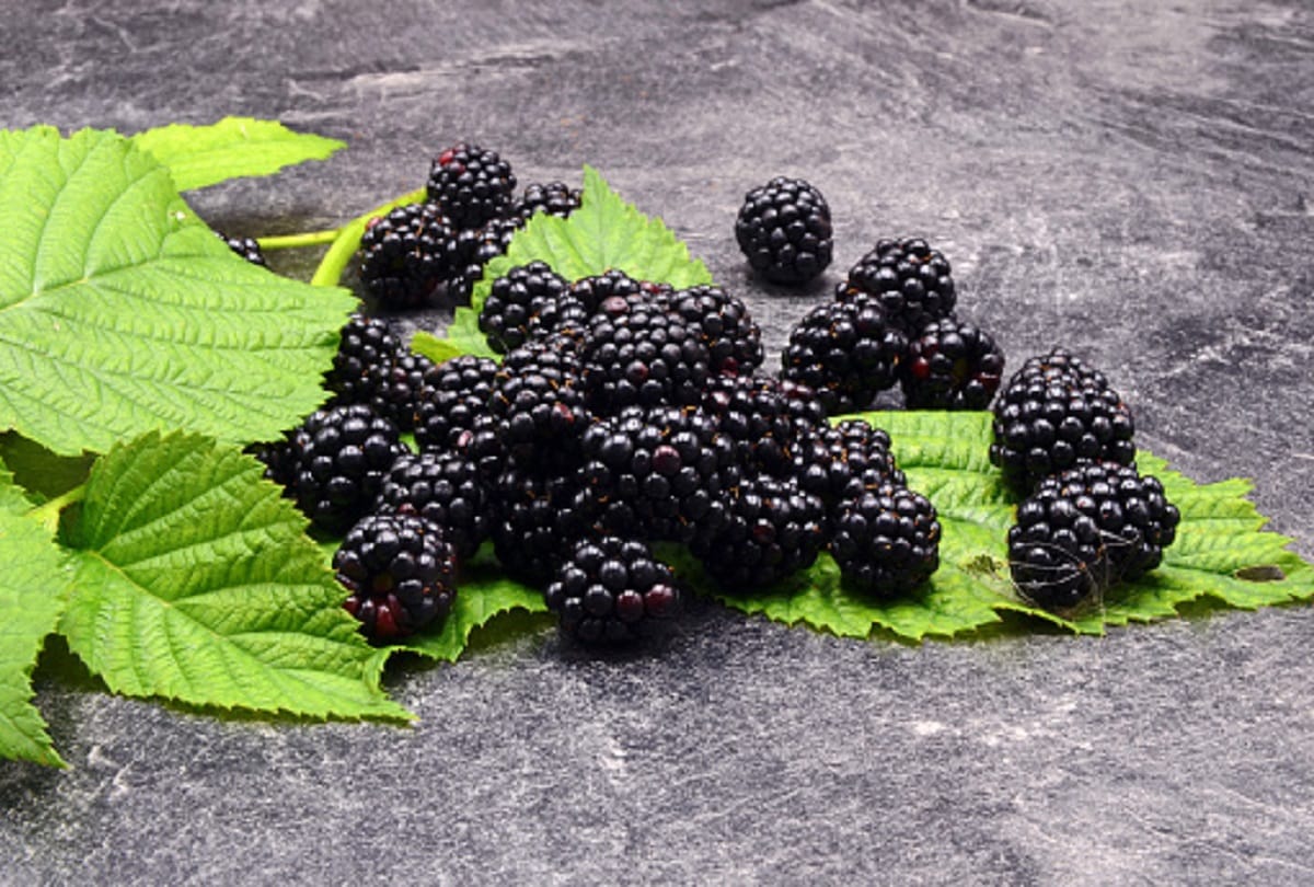 health benefits of black foods including blackberry fruit and black grapes