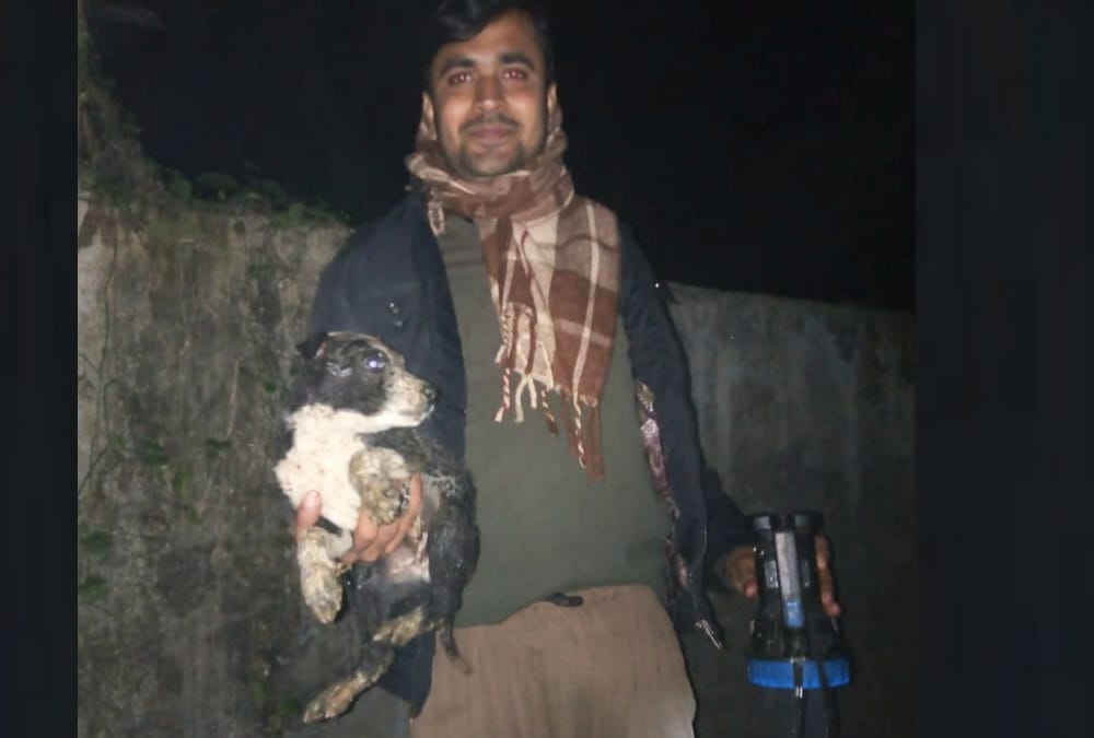 A puppy falls down in a well, menka gandhi send team for rescue.