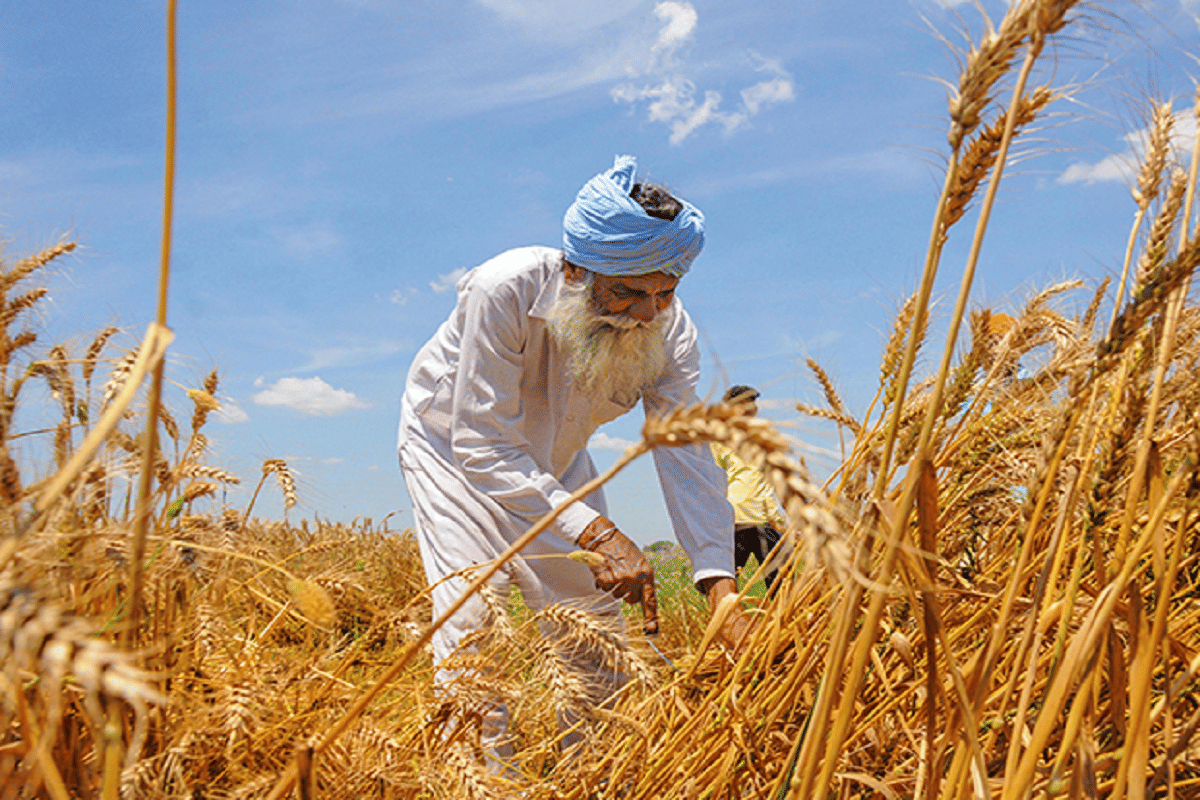 Budget 2021 Farmers disappointed with budget says Government did not solve any problem