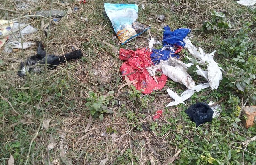 Panic and crows frightened to find dead in Mandavali