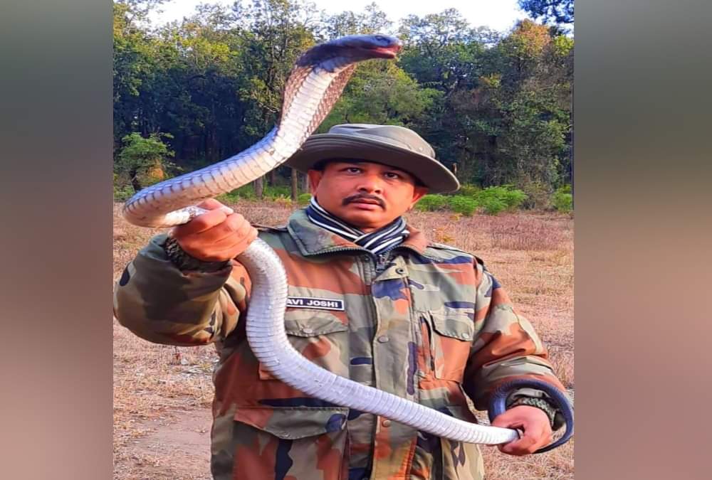 Uttarakhand: Giant cobra rescued in Dehradun, see pictures