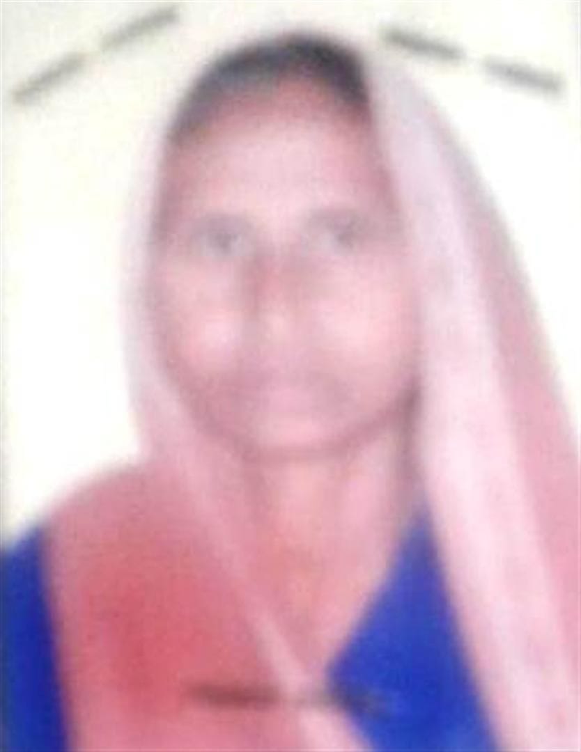Hathras: Woman dies after falling from roof due to fear of monkey attack