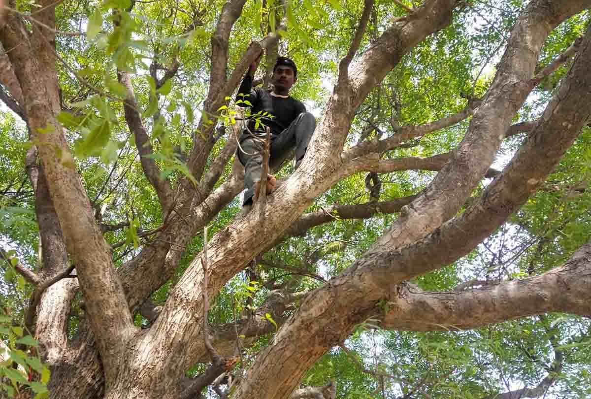 UP: Lover and girlfriends wanted to get married, parents decide the relationship elsewhere, both hanged