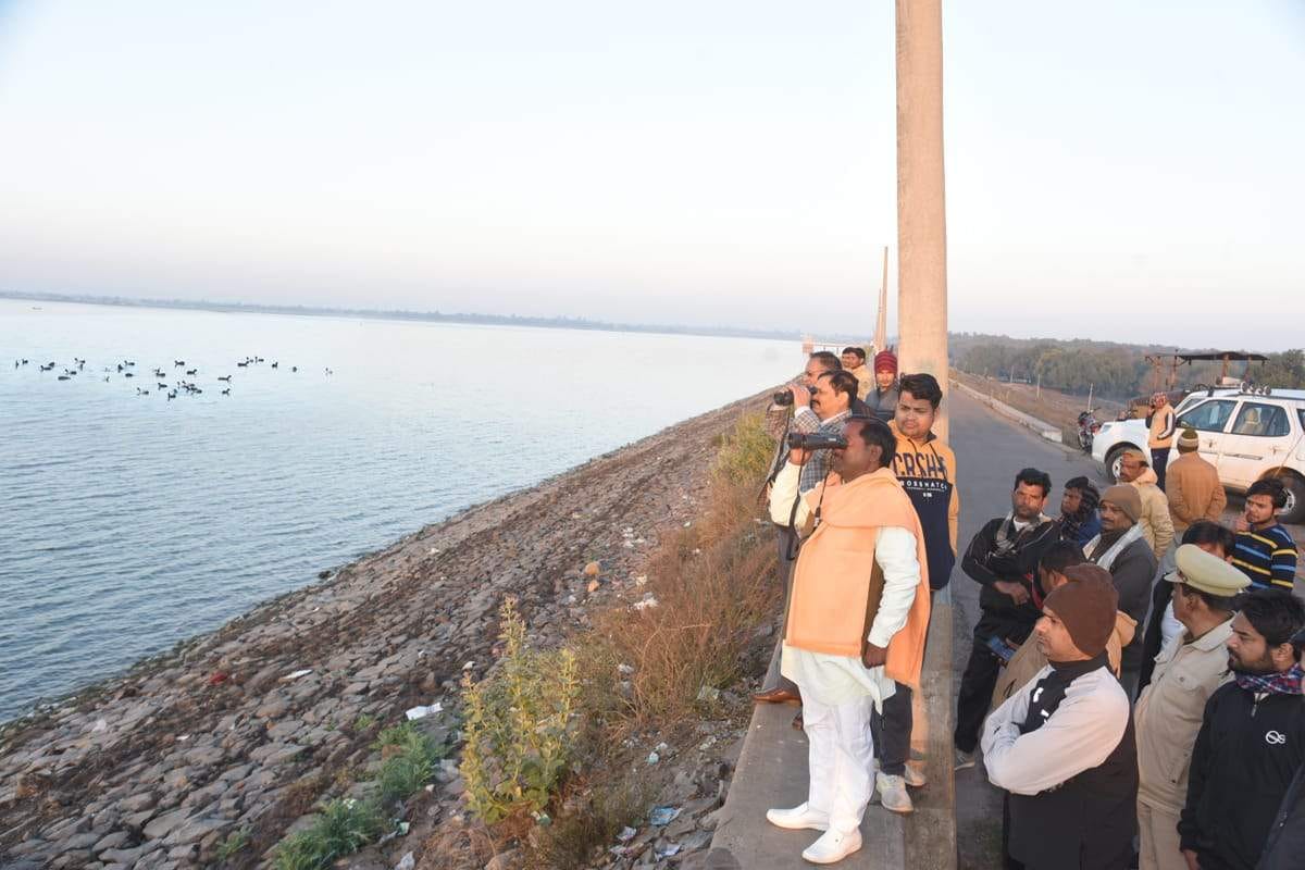 world wetland day, bird watching