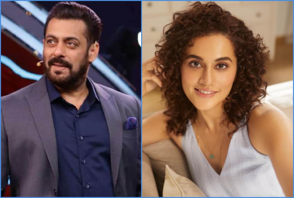Salman khan to taapsee pannu here entertainment top news