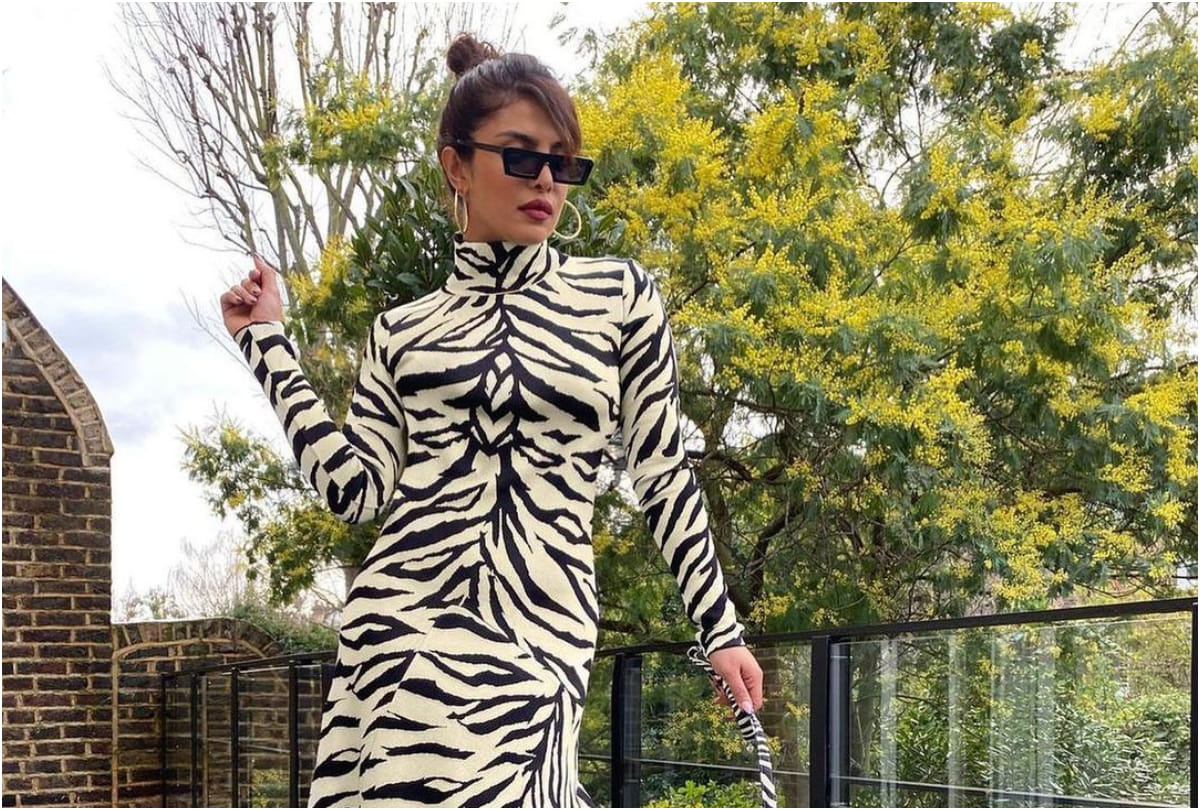 priyanka chopra lifestyle diet plan net worth house and car collection