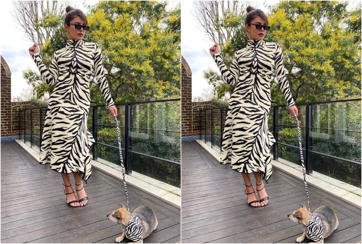 priyanka chopra twins her white tiger dress with her pet dog diana