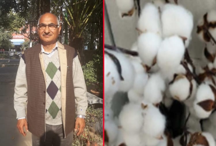 Union Budget 2021: No provision in Union Budget for traditional farming of Punjab