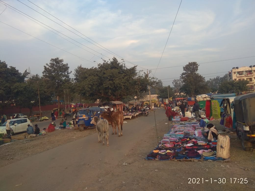 Illegal market is seen daily in Sector-26