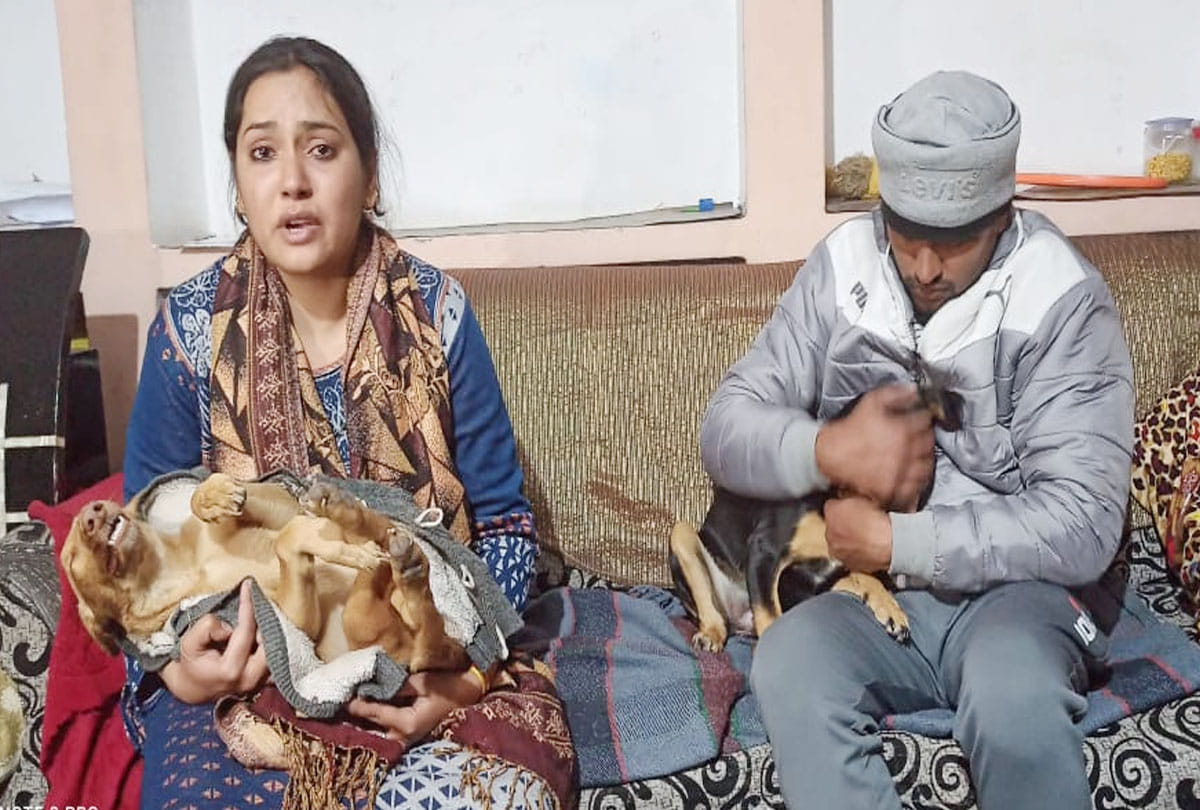Pet dog killed for house grab in kanpur
