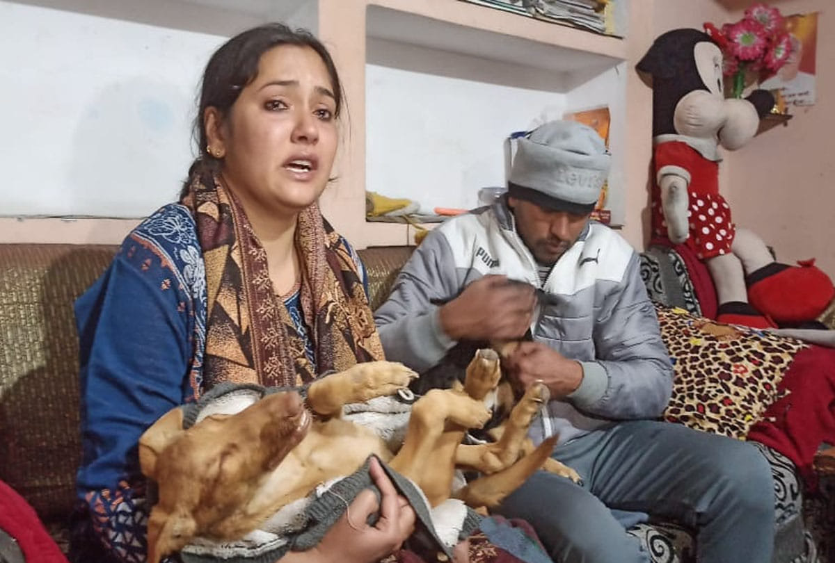 Pet dog killed for house grab in kanpur