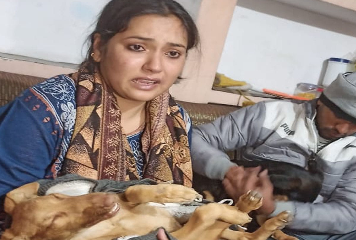 Pet dog killed for house grab in kanpur