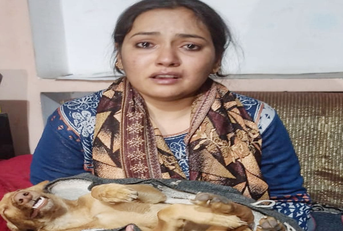 Pet dog killed for house grab in kanpur