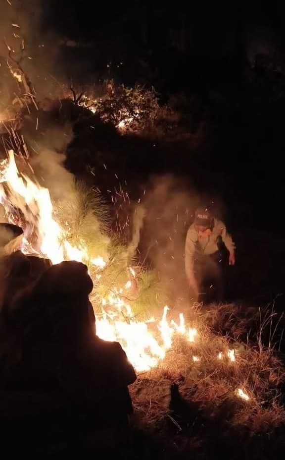 The blazing forests of Bamtana, blossoms of grass were also burnt to ashes throughout the night