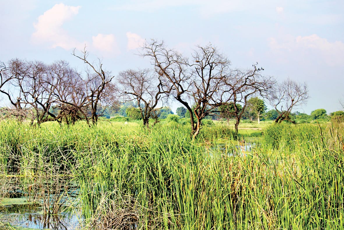 development engulfed lake and ponds