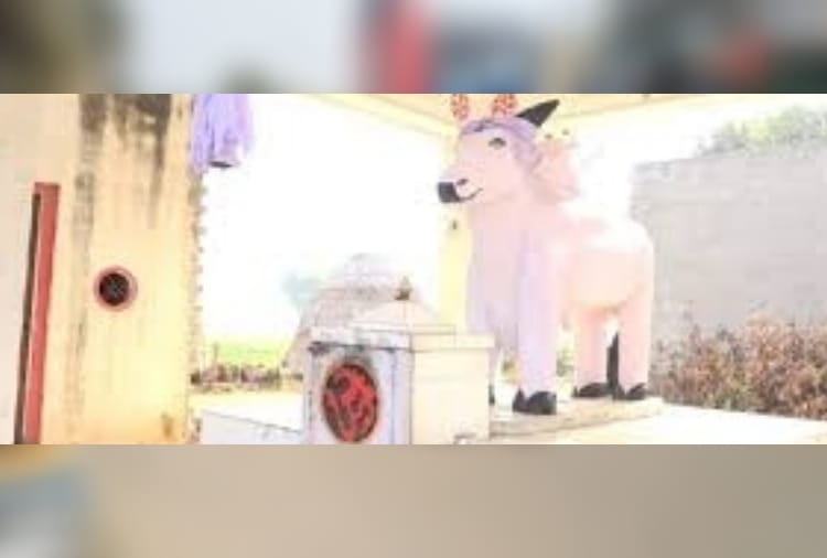 Know about Kandela village history 